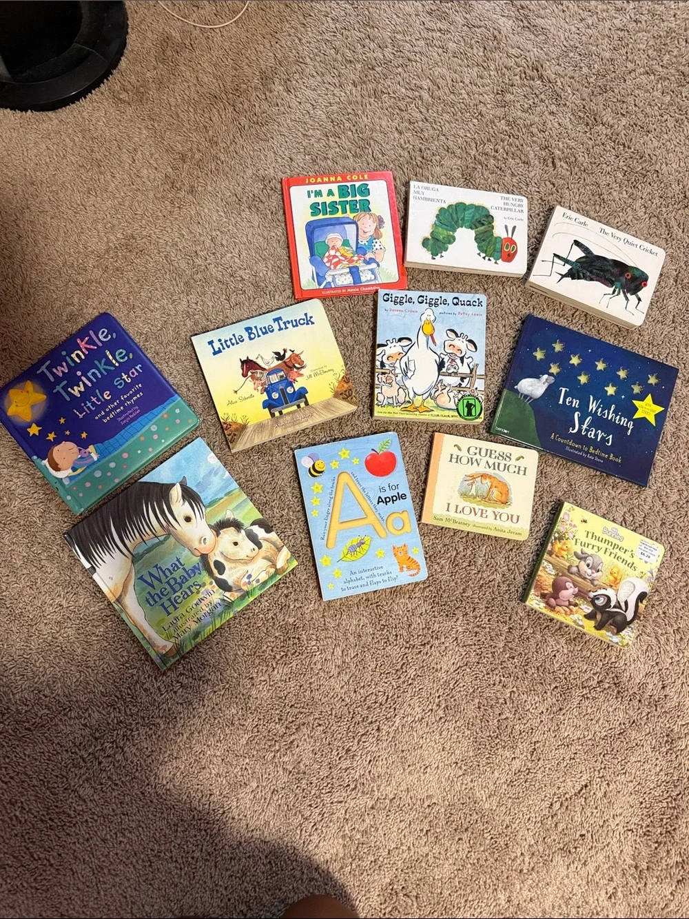 Classic Children's Board Book Bundle - Assorted Colors